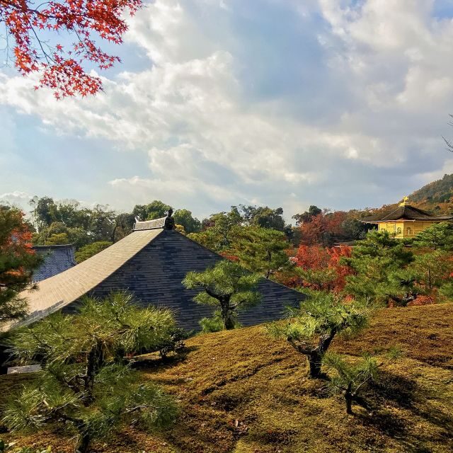 Kyoto: City Secrets eBike Tour - Who Should Book This eBike Kyoto Day (and Who Should Skip It)