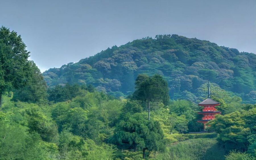 Kyoto: Customizable Full-Day Tour with Privarte Transfers - Practical stuff that can make or break the day