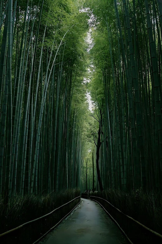 Kyoto: Customized One Day Car tour - Timing reality: the 10 hours include lunch, and it must end before 18:00