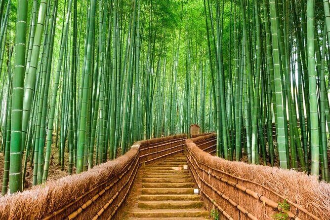 Kyoto Customized Private Car Tour - Key reasons this Kyoto private tour works