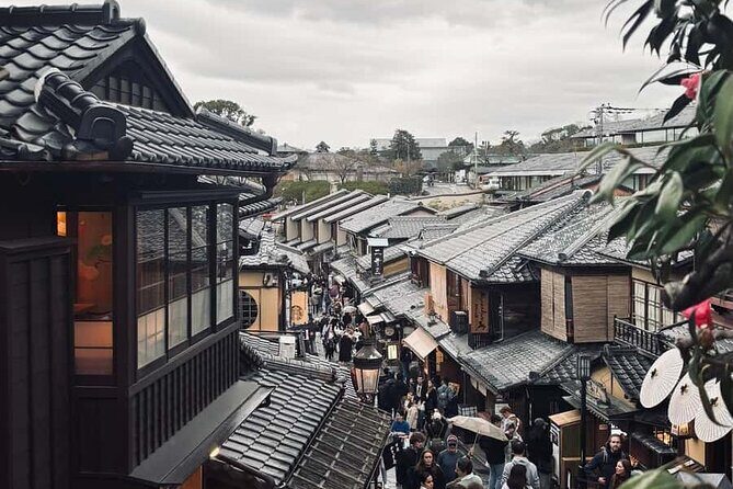 Kyoto Customized Private Car Tour - Kyoto in a day: what this private tour is really good at