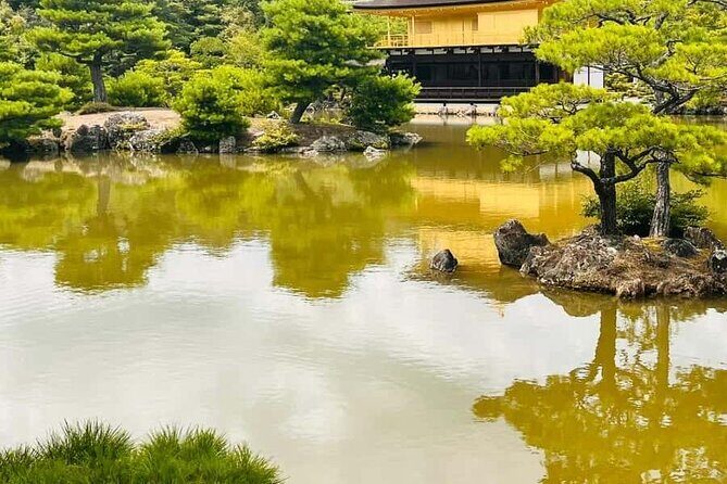Kyoto Customized Private Car Tour - Stop 2: Arashiyama Bamboo Grove for that calm, green hush