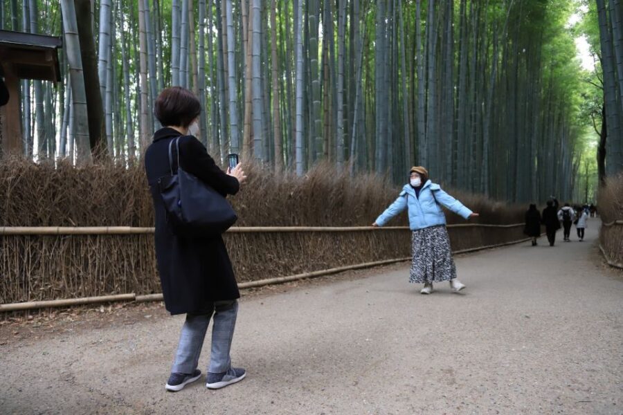 Kyoto Customized Private Tour: See Top Attractions in 1 Day - Kiyomizu-dera and the Ninenzaka / Sannenzaka Slopes for a Scenic Finish