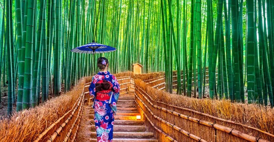 Kyoto Day Tour with Certified Tour Guide & Luxury vehicle - A day you can actually steer: guide-led, not rigid