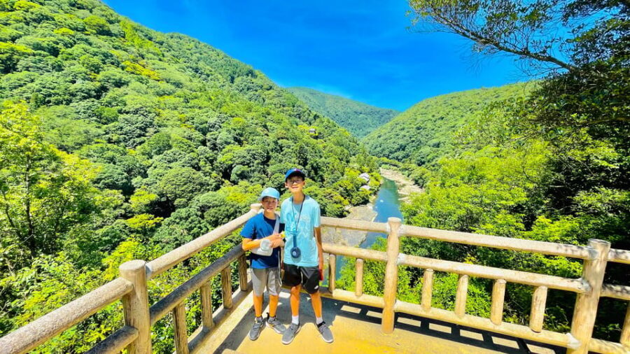 Kyoto Day Tour with Certified Tour Guide & Luxury vehicle - Fushimi Inari Taisha: a guided walk through the torii paths