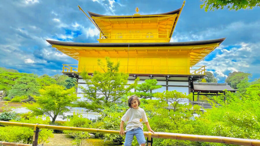 Kyoto Day Tour with Certified Tour Guide & Luxury vehicle - Price and value: $490 per group can be a smart split