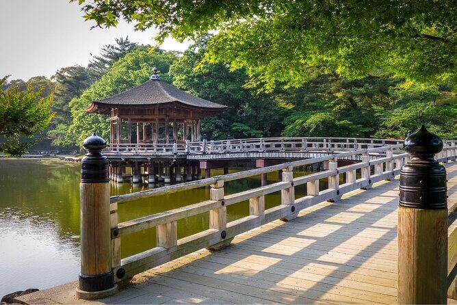 Kyoto Day Trip to Nara with a Local – Private & Personalized - Who should book this Kyoto-to-Nara private tour