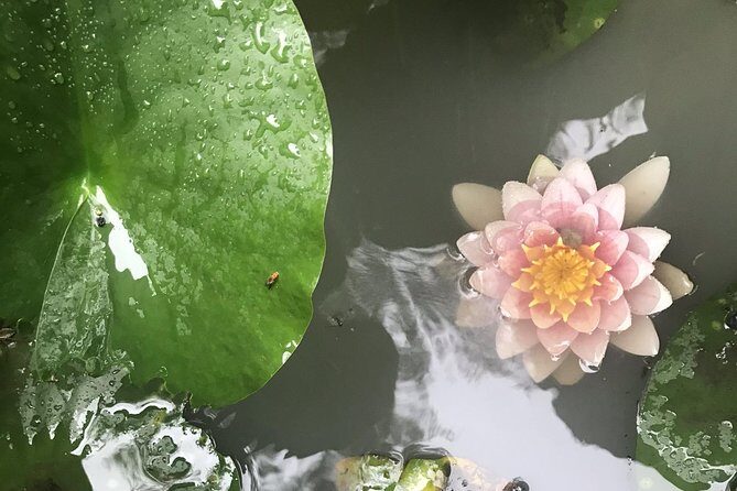 Kyoto: Descending Arashiyama (Private) - Price and Value: What $690 Covers (and What It Doesn’t)