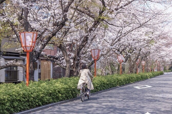 Kyoto E-Bike Tour of Hidden Gems, Backstreets and Temples - The 4-hour flow: Gion into the temple belt