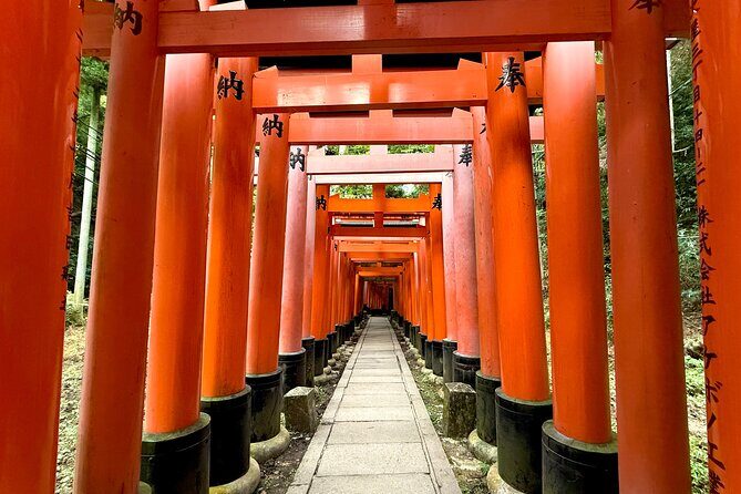 Kyoto Early Bird English Tour: Fushimi-Inari and Arashiyama - English guides you might meet: Hiro, Jem, Eri, Vincent, Caleb, Haruka, and Cade