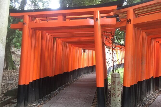 Kyoto Early Bird Tour: Fushimi Inari, Arashiyama Bamboo & Monkeys - Should You Book This Kyoto Early-Bird Tour?