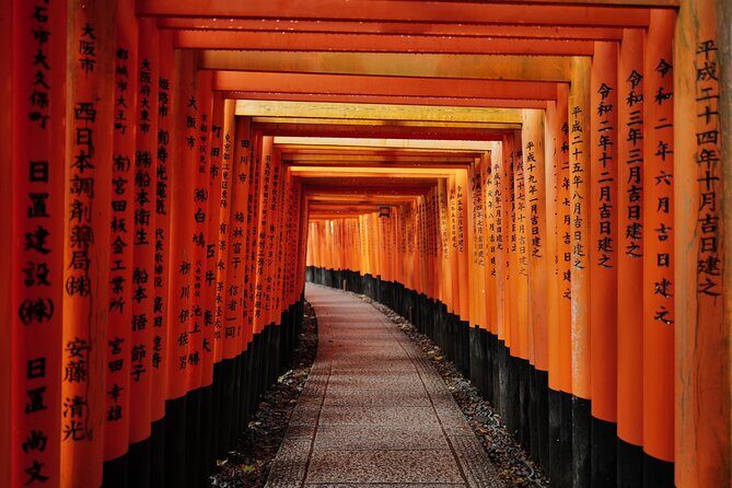 Kyoto Early Bird Tour Tokyo Round or One Way Shinkansen - Key highlights worth knowing