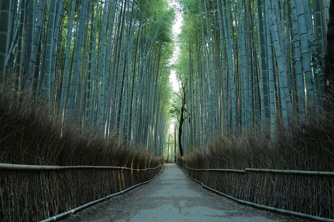 Kyoto Early Bird Tour Tokyo Round or One Way Shinkansen - Meeting Point at KITTE Marunouchi and the Shinkansen One-Way vs Round-Trip Choice