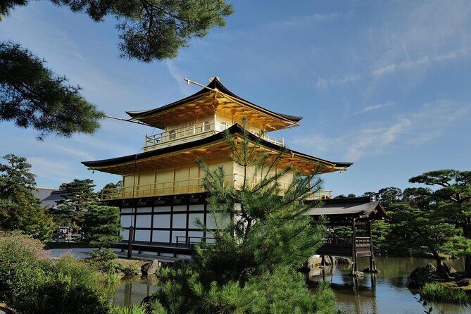 Kyoto Early Bird Tour Tokyo Round or One Way Shinkansen - Price and Value: What You’re Really Paying For
