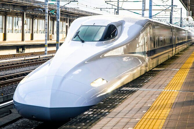 Kyoto Early Bird Tour Tokyo Round or One Way Shinkansen - Arashiyama Bamboo Grove: Calm Walk, No-Extra-Ticket Simplicity
