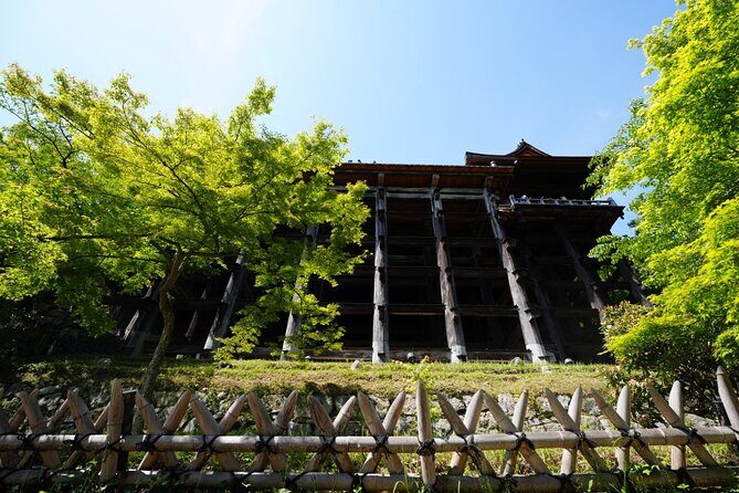 Kyoto Early Morning E Biking Tour Fushimi Inari Kiyomizu Temple - The e-bike experience: comfortable uphill power, real walking still