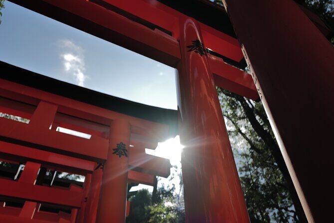 Kyoto Early Morning Tour with English-Speaking Guide - Pace, Walking, and What to Bring
