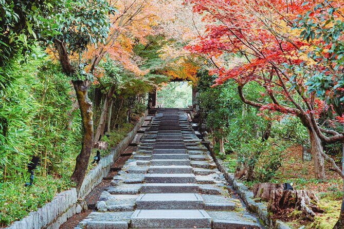 Kyoto East Early Morning Walking Tour - Meeting point and how to start without stress