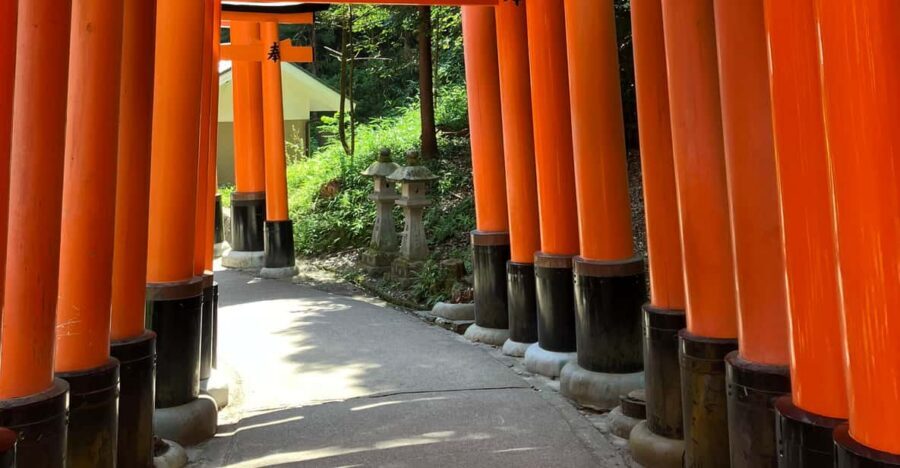 Kyoto: Essential Tour with Fushimi Inari & Bamboo Grove - Key things I’d watch for