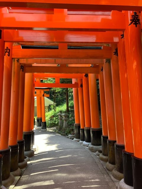 Kyoto: Essential Tour with Fushimi Inari & Bamboo Grove - Hitting Kyoto’s Most Famous Red Gates (Without Wasting Your Morning)