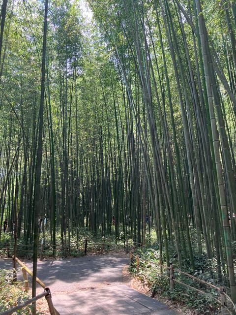 Kyoto: Essential Tour with Fushimi Inari & Bamboo Grove - Fushimi Inari Taisha: Your Private Guide Turns a Walk Into a Story
