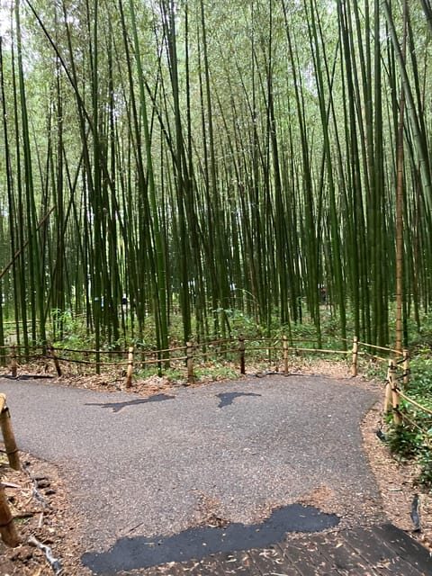 Kyoto: Essential Tour with Fushimi Inari & Bamboo Grove - The Shrine Details That Make Your Photos Mean Something