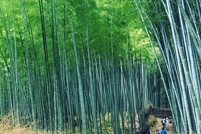 KYOTO Explore Top Highlights by Private Walking Tour - Kiyomizudera Temple Time: The Stair Climb Is the Point