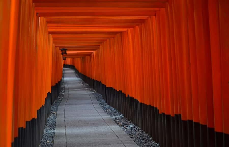 Kyoto : Flexible 3 hours Tour with a English Speaking guide. - Who This Tour Fits Best