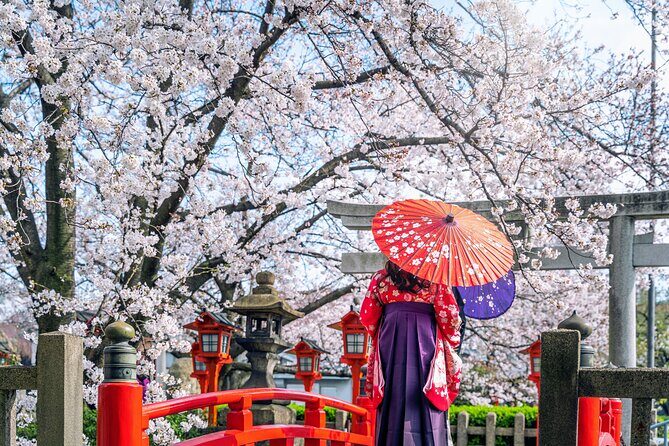 Kyoto Full Day (8 hours) Ultimate Sightseeing Private Tour - Nijo Castle: Edo-period architecture you can actually walk through