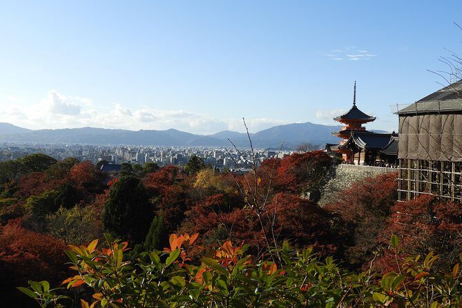 Kyoto Full Day (8 hours) Ultimate Sightseeing Private Tour - Fushimi Inari Taisha: red torii gates and a walking ritual