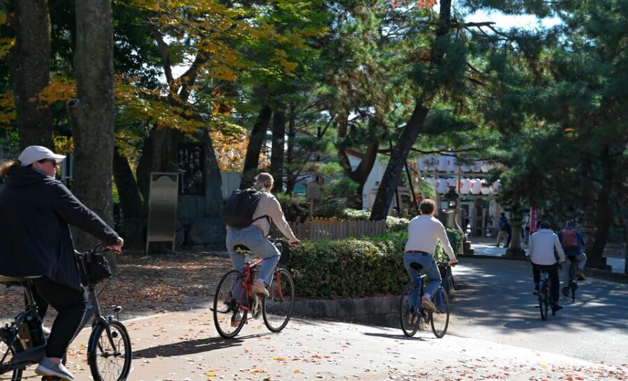 Kyoto: Full Day Bike Tour - Bikes, e-bikes, and comfort: who should choose what