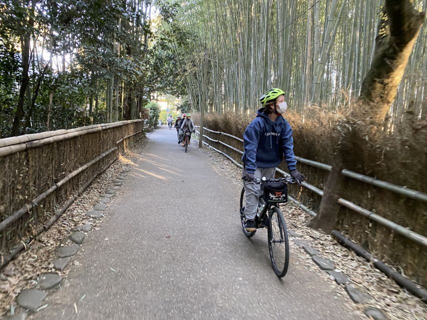 Kyoto: Full-Day City Highlights Bike Tour with Light Lunch - Fushimi Inari Taisha Senbontorii: Torii Color and Fox Statues