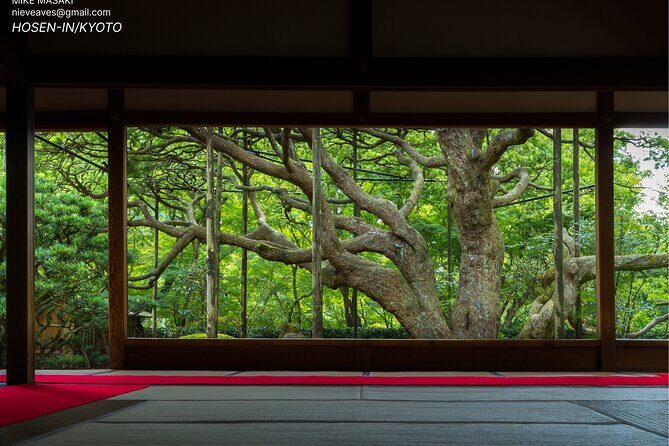 Kyoto Full-Day Excursion from Kobe (Osaka) Port - Stop 1: Gion Shirakawa and Furukawa Local Market Riverside Walking