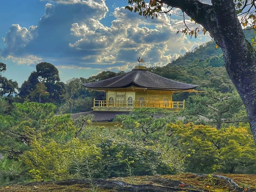 Kyoto full day private day trip with English speaking driver - What to bring (and what will annoy you if you forget it)