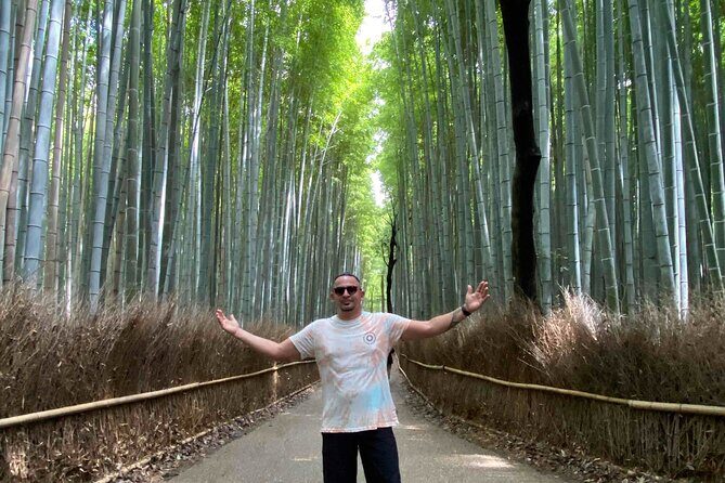 Kyoto Full Day Tour from Kobe with Licensed Guide and Vehicle - Price and Logistics: Is $1,165.63 a Smart Deal?