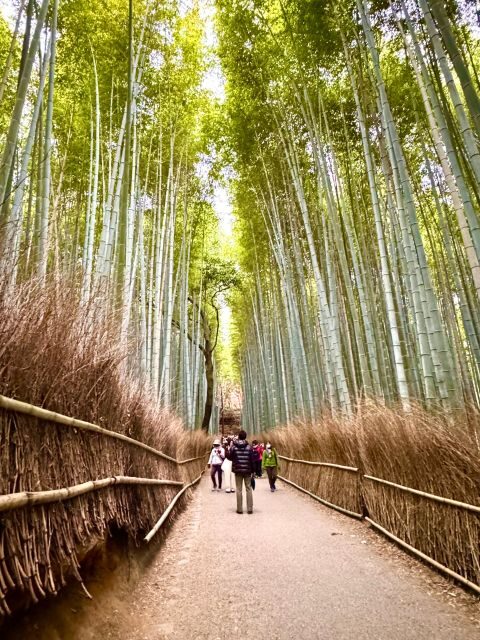 Kyoto: Fully customizable your own tour in the old capital - Design-Your-Own Kyoto Route with a Local Friend