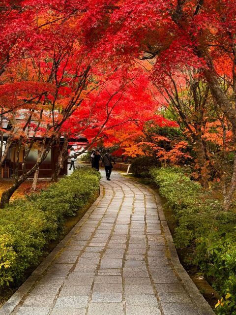 Kyoto: Fully customizable your own tour in the old capital - How the 8 Hours Really Feel: Walking, Public Transit, and Pacing