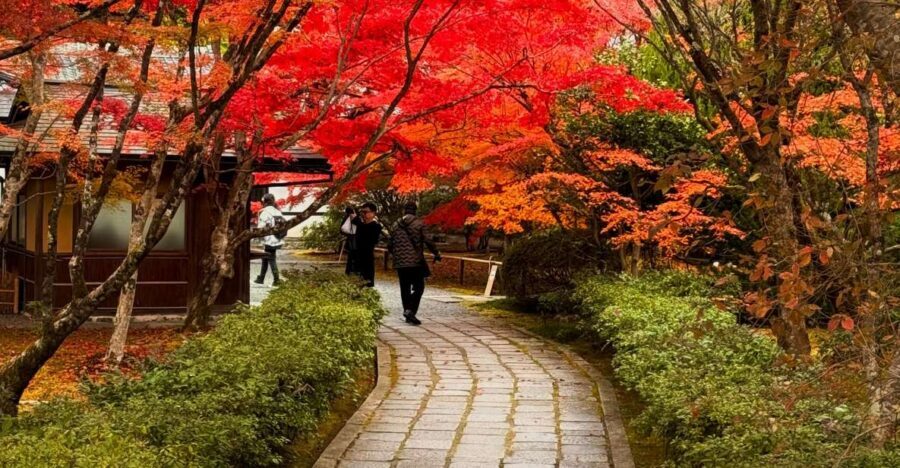 Kyoto: Fully customizable your own tour in the old capital - Who This Kyoto Day Is Best For
