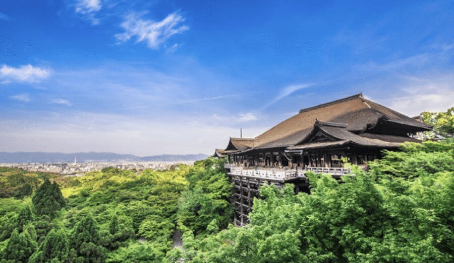 Kyoto: Fully-Customized One-day Private Tour - Nishiki Market: Where Kyoto’s Food Culture Starts