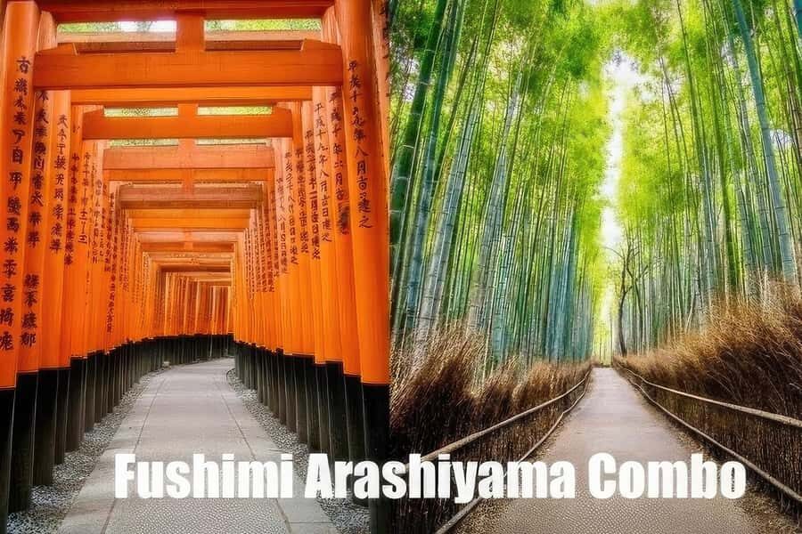 Kyoto: Fushimi, Arashiyama - Bamboo, Monkey, Torii & Secrets - Fushimi Inari Taisha: walking the torii gates with intention