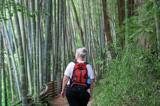 Kyoto: Fushimi Inari Hidden Hike (Private) - Fushimi Inari Taisha: torii gates, bamboo shade, and the path to Senbon Torii