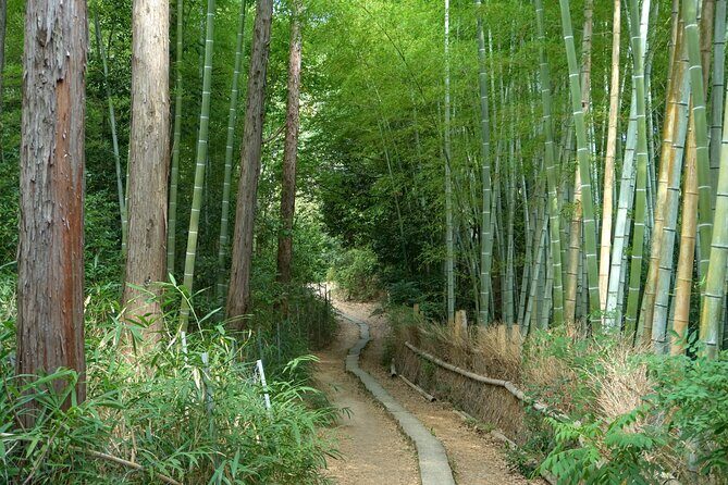 Kyoto: Fushimi Inari Hidden Hike (Private) - Coming back down with a new view: Fushimi Momoyama Castle from the mountainside