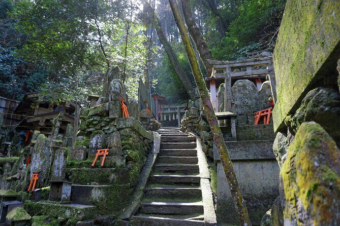 Kyoto: Fushimi Inari Hidden Hike (Private) - Meeting at FamilyMart Nakai Tofukuji: quick start, clear handoff