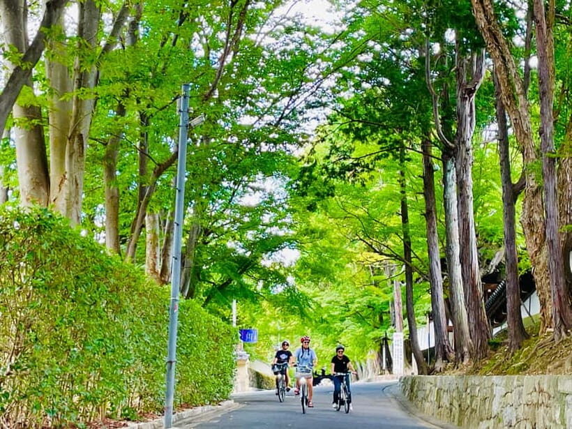 Kyoto: Fushimi Inari Shrine and Tofukuji Temple E-Bike Tour - Gion by e-bike: Geisha culture and Kyoto customs on the move