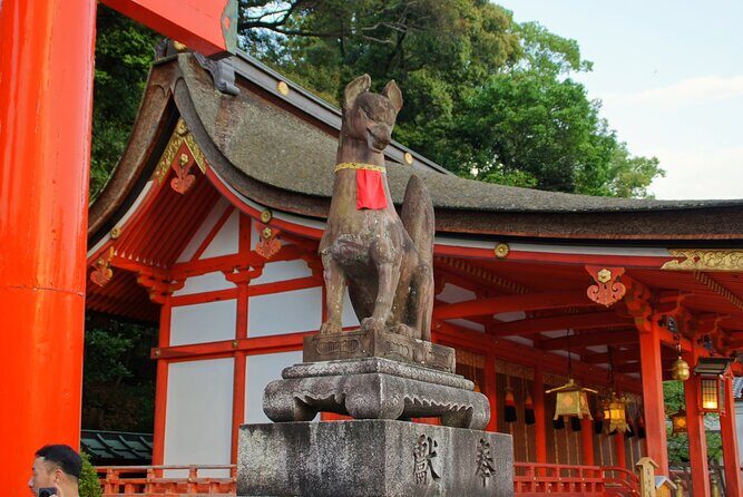 Kyoto: Fushimi Inari Shrine Walking Tour - Who this walking tour is best for (and who should think twice)