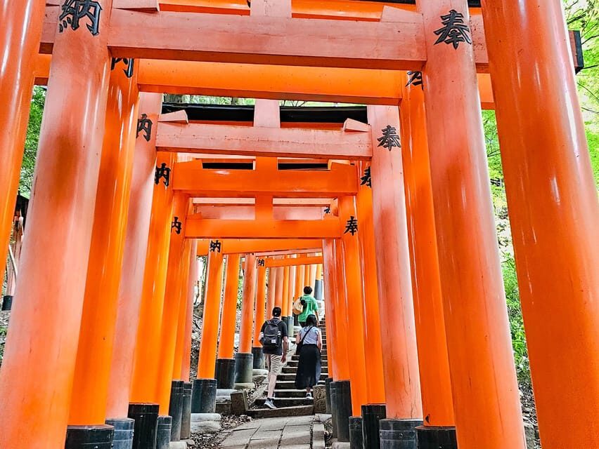 Kyoto: Fushimi Inari Taisha Guided Walking Tour - What to wear and bring: the tour is simple, your feet are not