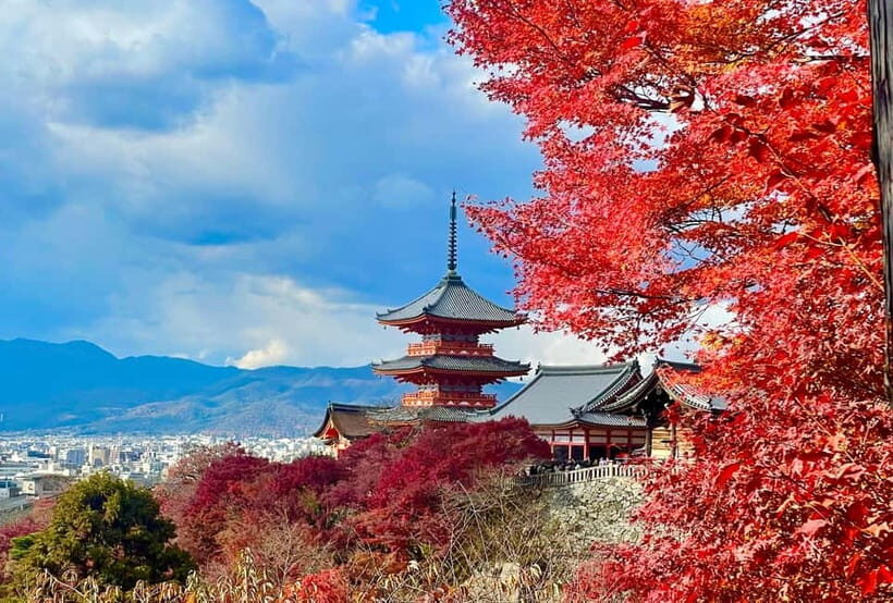 Kyoto: Fushimi Inari-taisha y Kiyomizu-dera (Spanish Guide) - Key things I’d prioritize before you go
