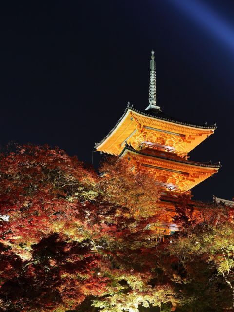Kyoto: Fushimi Inari-taisha y Kiyomizu-dera (Spanish Guide) - Finding the Meeting Point by JR Inari and the Fox Statue