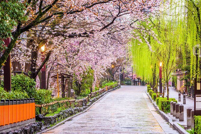 Kyoto Geisha District Walking Tour in Gion - Entering Gion the smart way: your guide does the heavy lifting