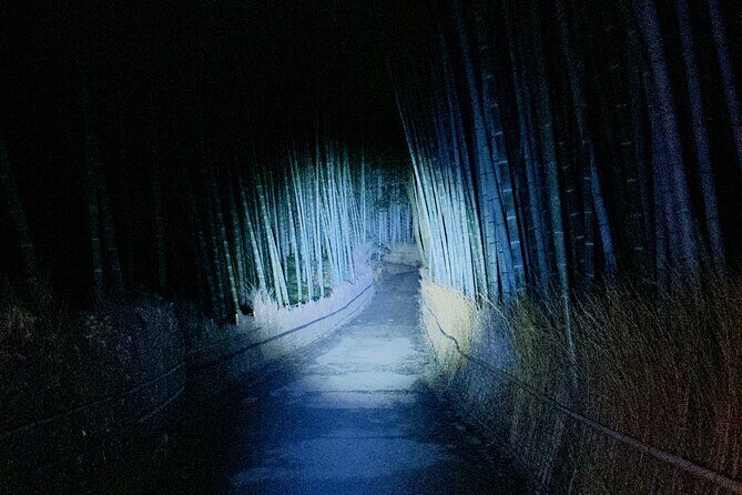 Kyoto Ghost Tour: Dark Tales, Urban Legends, Bamboo Forest Night - Getting to Saga-Arashiyama Station and finding your group fast